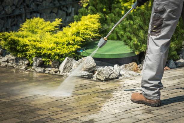 Best Solar Panel Cleaning  in Curtisville, PA