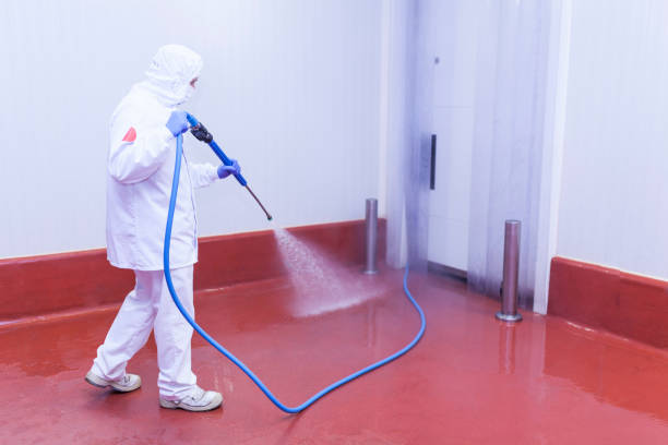 Best House Exterior Washing  in Curtisville, PA