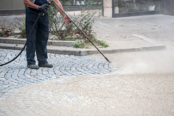 Best Dumpster Area Cleaning  in Curtisville, PA