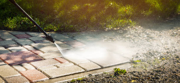 Best Warehouse Cleaning  in Curtisville, PA